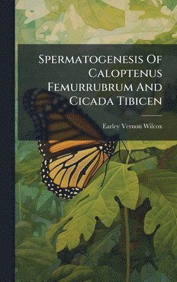 bokomslag Spermatogenesis Of Caloptenus Femurrubrum And Cicada Tibicen