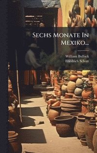 bokomslag Sechs Monate In Mexiko...
