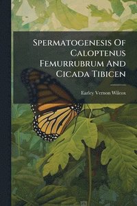 bokomslag Spermatogenesis Of Caloptenus Femurrubrum And Cicada Tibicen