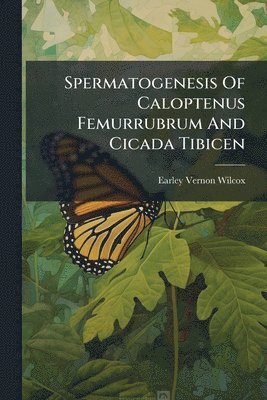 bokomslag Spermatogenesis Of Caloptenus Femurrubrum And Cicada Tibicen