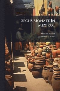 bokomslag Sechs Monate In Mexiko...