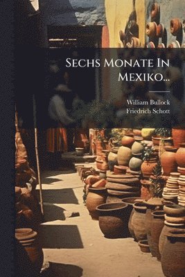 Sechs Monate In Mexiko...