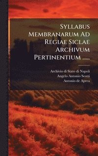bokomslag Syllabus Membranarum Ad Regiae Siclae Archivum Pertinentium ......