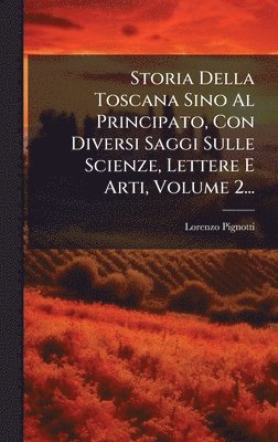 bokomslag Storia Della Toscana Sino Al Principato, Con Diversi Saggi Sulle Scienze, Lettere E Arti, Volume 2...