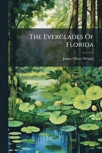 bokomslag Everglades Of Florida