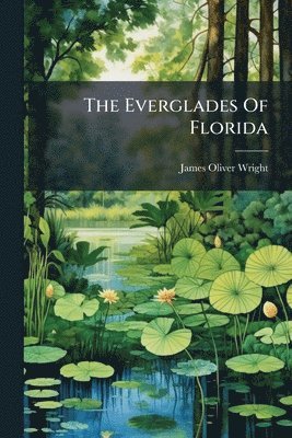 bokomslag Everglades Of Florida