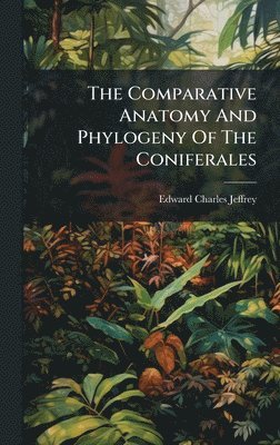 bokomslag The Comparative Anatomy And Phylogeny Of The Coniferales