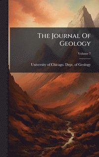 bokomslag Journal Of Geology