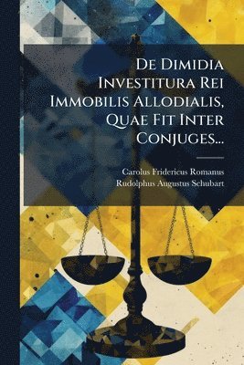 bokomslag De Dimidia Investitura Rei Immobilis Allodialis, Quae Fit Inter Conjuges...