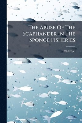bokomslag Abuse Of The Scaphander In The Sponge Fisheries