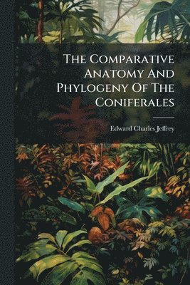 bokomslag The Comparative Anatomy And Phylogeny Of The Coniferales