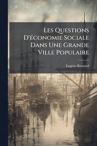 bokomslag Les Questions D'Ã(c)conomie Sociale Dans Une Grande Ville Populaire