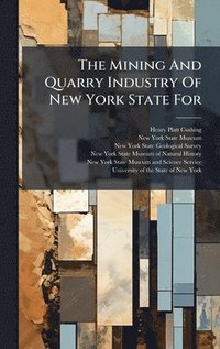 bokomslag Mining And Quarry Industry Of New York State For