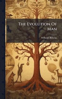 bokomslag Evolution Of Man