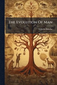 bokomslag Evolution Of Man