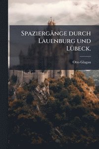 bokomslag Spaziergänge durch Lauenburg und LÃ1/4beck.