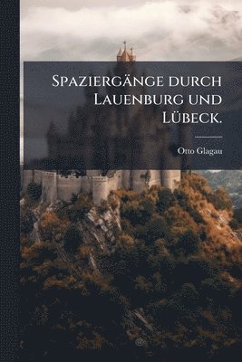 bokomslag Spaziergänge durch Lauenburg und LÃ1/4beck.