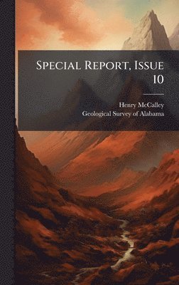 Henry McCalley - Special Report, Issue 10, Inbunden