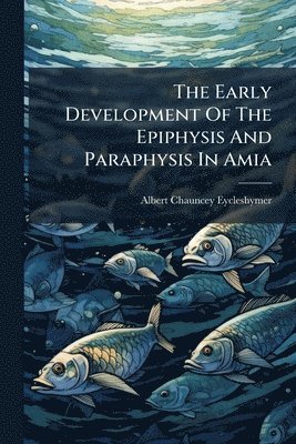 Early Development Of The Epiphysis And Paraphysis In Amia