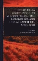 bokomslag Storia Della Costituzione Dei Municipi Italiani Dal Dominio Romano Fino Al Cadere Del Secolo Xii