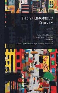 bokomslag Springfield Survey