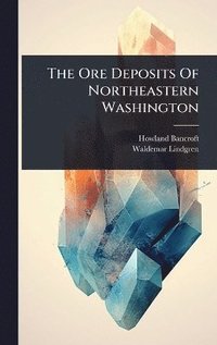 bokomslag Ore Deposits Of Northeastern Washington