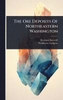 bokomslag The Ore Deposits Of Northeastern Washington