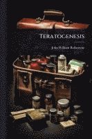 bokomslag Teratogenesis