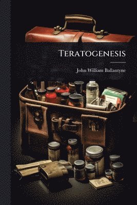 bokomslag Teratogenesis