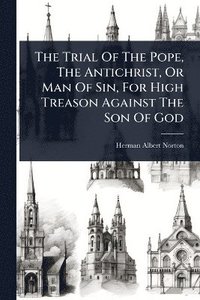 bokomslag Trial Of The Pope, The Antichrist, Or Man Of Sin, For High Treason Against The Son Of God
