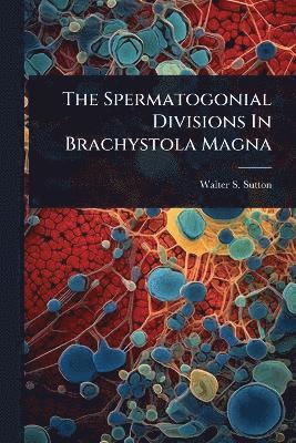 bokomslag Spermatogonial Divisions In Brachystola Magna