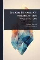 bokomslag The Ore Deposits Of Northeastern Washington