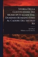 bokomslag Storia Della Costituzione Dei Municipi Italiani Dal Dominio Romano Fino Al Cadere Del Secolo Xii