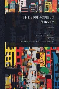 bokomslag The Springfield Survey