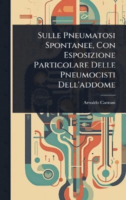 bokomslag Sulle Pneumatosi Spontanee, Con Esposizione Particolare Delle Pneumocisti Dell'addome