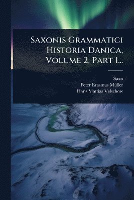 Saxo (Grammaticus) - Saxonis Grammatici Historia Danica, Volume 2, Part 1..., Häftad
