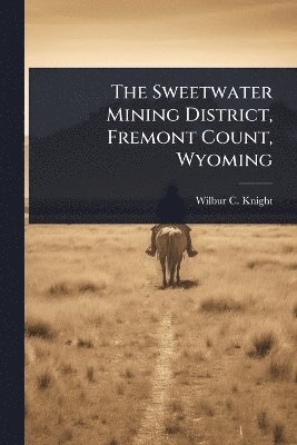 bokomslag Sweetwater Mining District, Fremont Count, Wyoming