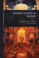 bokomslag Sherbes' E Javes Se Madhe