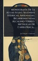 bokomslag MonografÃ-a De La Aguas Sulfo, SelÃ(c)nido HÃ-dricas, Arseniadas, Bicarbonatadas Alcalino-tÃ(c)rreo, Metàlicas De Carratraca...