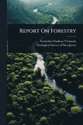 bokomslag Report On Forestry