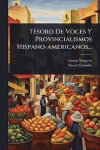 bokomslag Tesoro De Voces Y Provincialismos Hispano-americanos...
