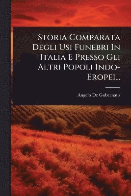 bokomslag Storia Comparata Degli Usi Funebri In Italia E Presso Gli Altri Popoli Indo- Eropei...