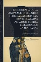 bokomslag MonografÃ-a De La Aguas Sulfo, SelÃ(c)nido HÃ-dricas, Arseniadas, Bicarbonatadas Alcalino-tÃ(c)rreo, Metàlicas De Carratraca...