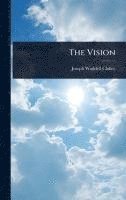 bokomslag Vision
