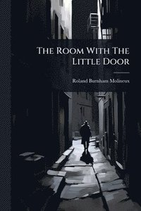 bokomslag Room With The Little Door