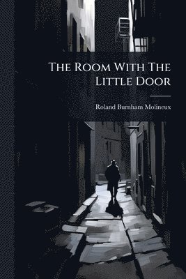 bokomslag Room With The Little Door