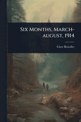 bokomslag Six Months, March-august, 1914
