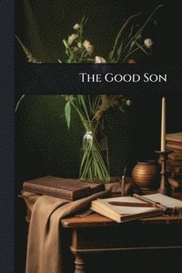 bokomslag Good Son