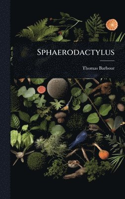 bokomslag Sphaerodactylus