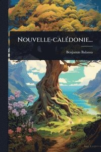 bokomslag Nouvelle-calÃ(c)donie...